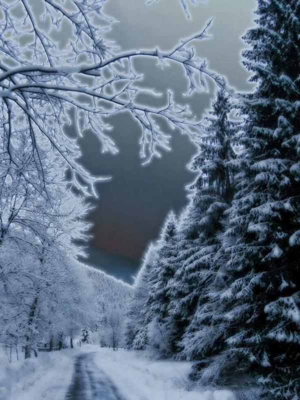 More Christmas pic's for u to look at,