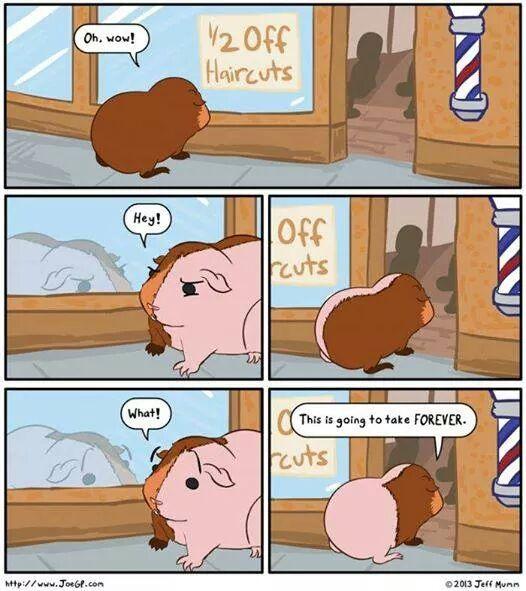 Magic Ordinal - Merlin🔮🧙 tweet media
