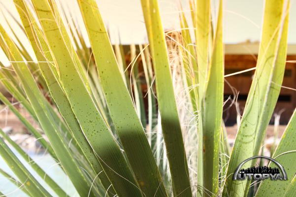 #ÜTOPYA çok yakında TV8’de başlıyor! <a href="/UtopyaTurkiye/">Ütopya Türkiye</a> utopya.com.tr