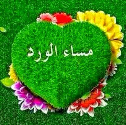 alshwei tweet picture