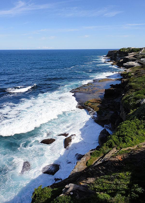 TravelWriterExm's tweet photo. 4 Great #Walks in #Sydney, #Australia: http://t.co/LM3Jv09fLz @examinercom http://t.co/HHZZj1f2B3