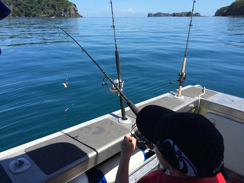 HookMad's tweet photo. Heading out to Corromandel on the boat for an overnighter in a week - stoked! - a pic from last visit... #hookmad http://t.co/Y19tTUQHVh