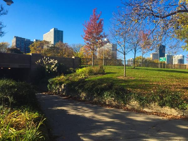 PeterRobards's tweet image. Saturday in the park... #OctoberInChicago #globalwarmingrocksamiright