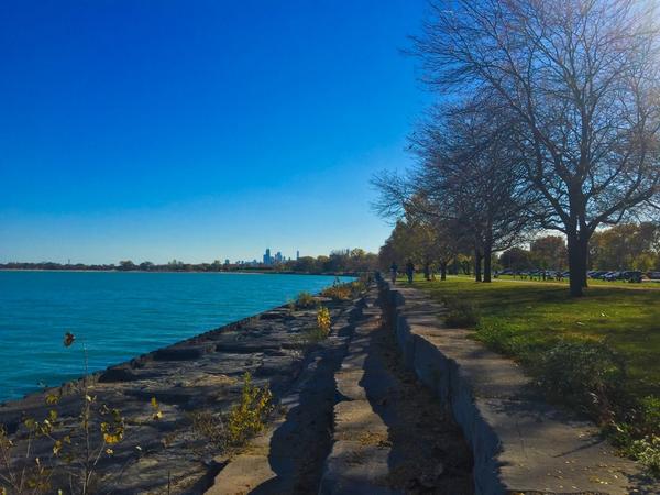 PeterRobards's tweet image. Saturday in the park... #OctoberInChicago #globalwarmingrocksamiright