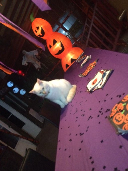 Almost party time at the LANE CRIB http://t.co/JvBjaVuXSu<a href="/tag/jokeoftheday"class="tags"><span>#jokeoftheday</span></a>