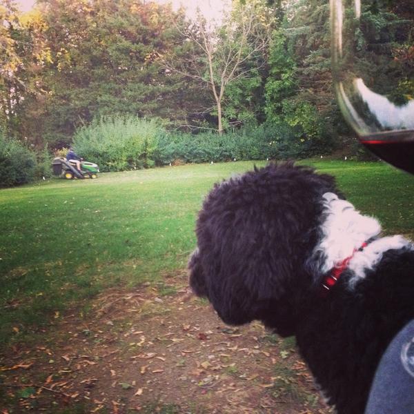 StephGGallo's tweet image. Wild Saturday night #old