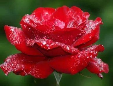 m15731999's tweet photo. Hiiiiiii http://t.co/x2mcVMPByB