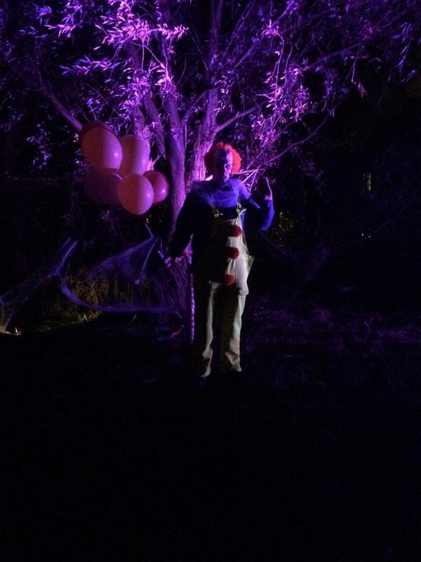 hallowpijnacker tweet picture