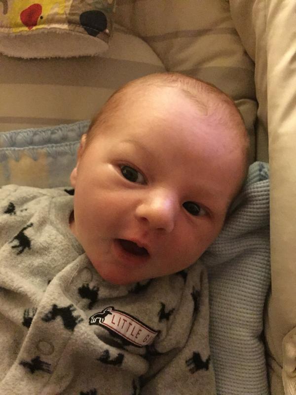 Tieacabletoatree tweet media