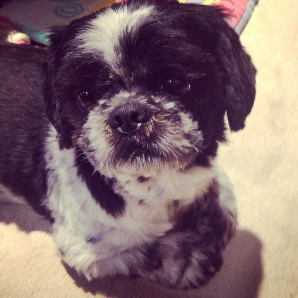 idne25's tweet photo. @EllenPage i concur. http://t.co/whwiZ5jlY7