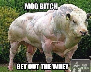 FitnessGandhi tweet media