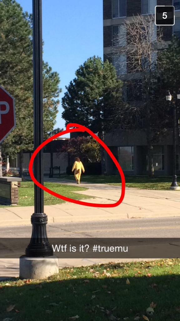 emusnaps's tweet photo. http://t.co/uOdqWgWiLG