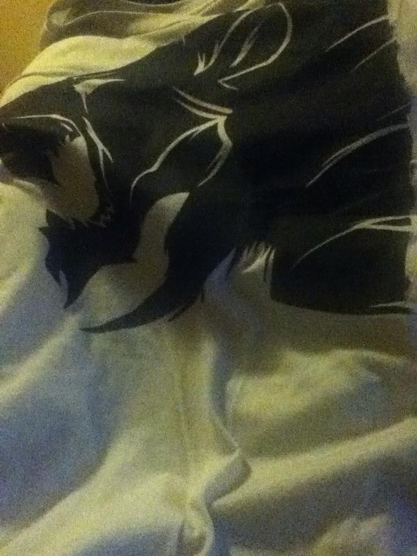 AlexPhelp's tweet photo. Finally got my OG shirt so happy! :D @SyndicateOG @ProSyndicate http://t.co/HIrj6SBdhW