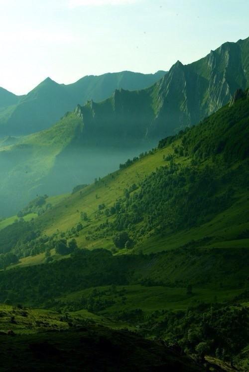 Что подарить (@chto__podarit) on Twitter photo 
