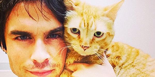 people's tweet photo. Cats rule and dogs drool for Hollywood's biggest cat lovers http://t.co/pOezOZTBwb http://t.co/94UAdGEPes