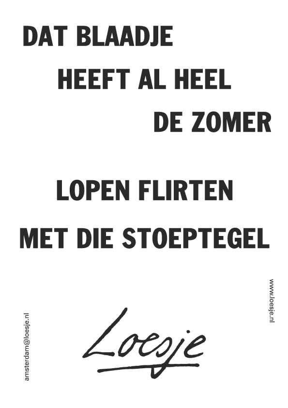 LoesjeNL's tweet photo. **dat blaadje heeft al heel de zomer
lopen flirten 
met die stoeptegel**
 #herfst #loesje http://t.co/8M6THRmUrV