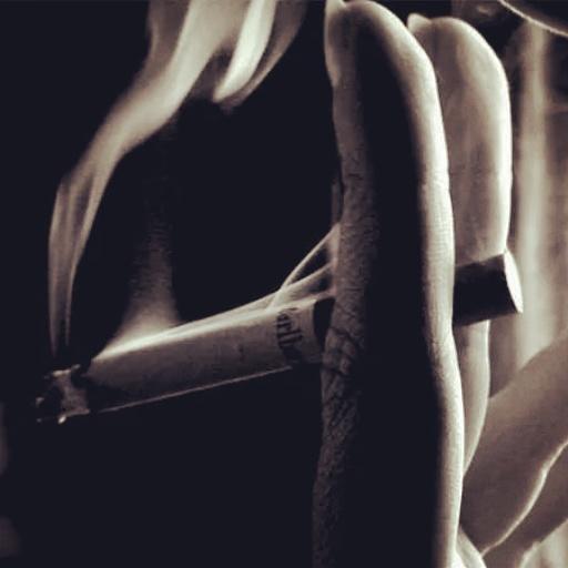 Mon Gallová (@gallovamon) on Twitter photo 