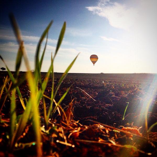 Up Alentejo tweet media