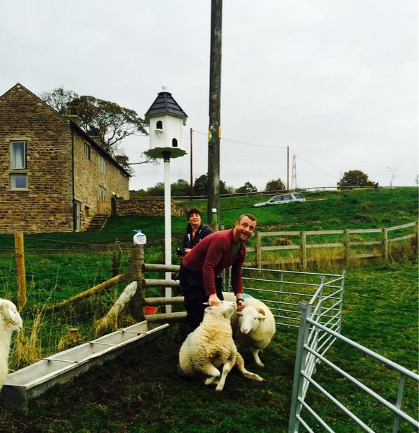 HannaSillitoe's tweet image. Oh u know, just one of those Sundays where the neighbours ask for help catching sheep🐑😳 #CountryProblems #Sheep #Farm