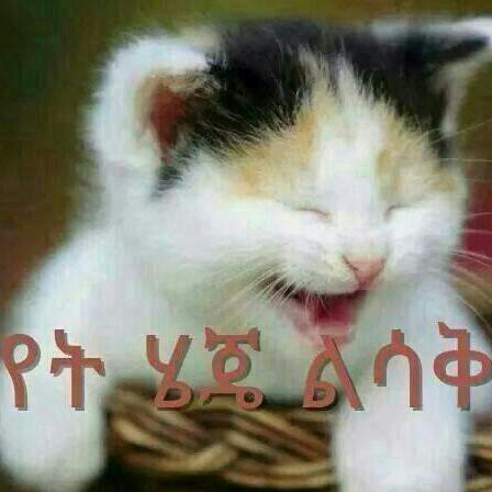 A6000600010H's tweet photo. http://t.co/lG8wRTmsyZ