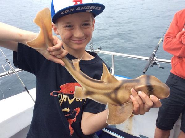 Clare Armstrong tweet media