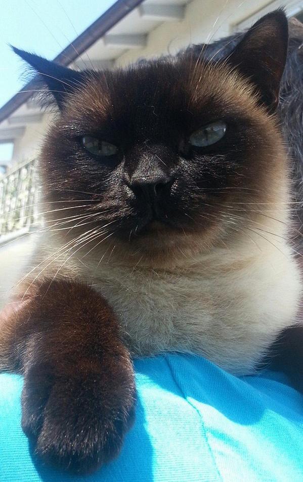 ballmops's tweet image. @Dullen_23