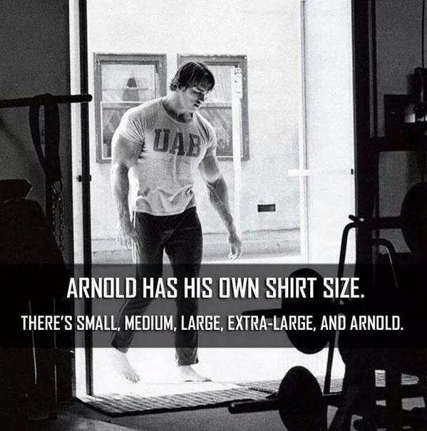 PHernach's tweet photo. Small, Medium, Large, X-Large and #Arnold
#legendary #bodybuilding http://t.co/TgoC0wclk6