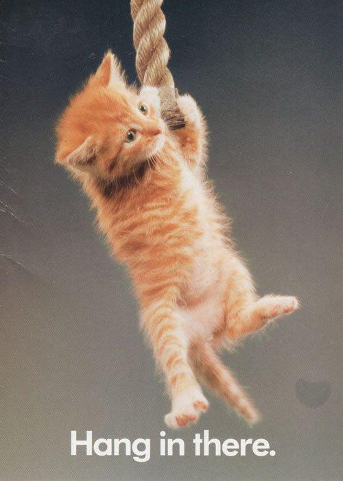 melissagoodwin's tweet photo. A4: I know it sounds like a cat poster, but it feels like coming home. #create5 http://t.co/DYroJcDtWd