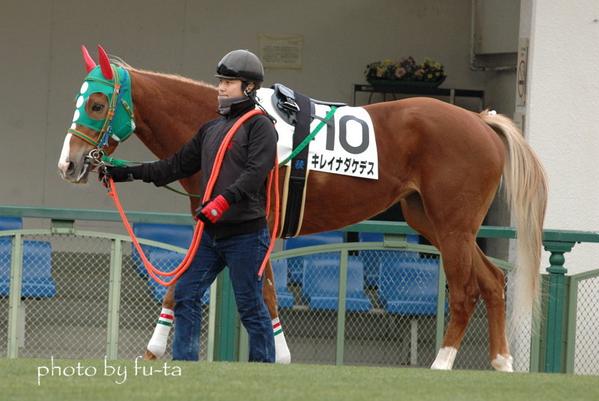 集まれ尾花栗毛