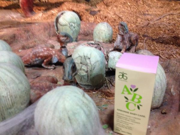 LikesSharesOhMy's tweet photo. Great Skin care for #babies @Arbonne_Canada #SpookOSaurus2014 @NiagaraDinos @SkylonTower @NFallsTourism http://t.co/6d8fwmlVvQ