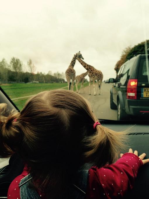 Rob Pearson tweet media