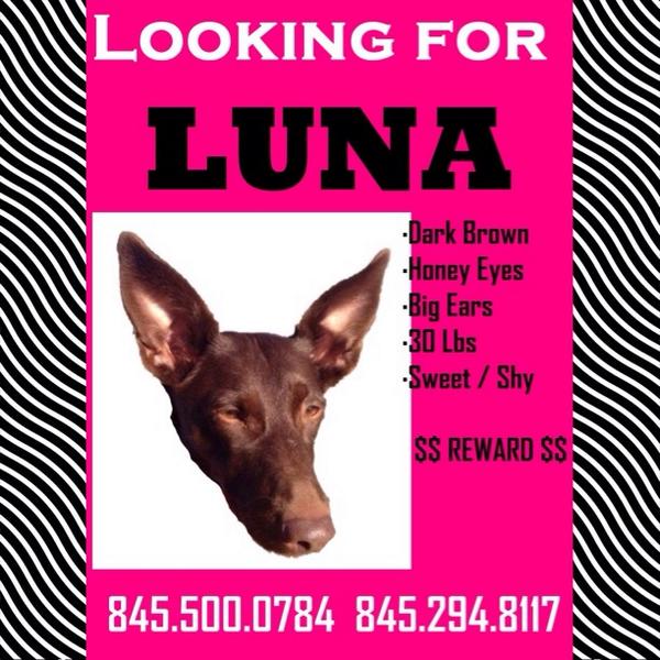 Looking_4_Luna tweet picture