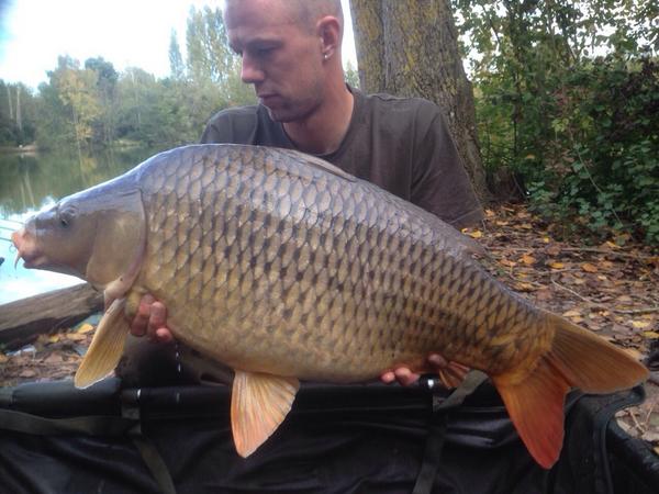 LanceLongman's tweet photo. Immaculate 28.7lb stocky common, does it get any better #commoncarp #carpfishing #korda #widegape http://t.co/KYps0DUdUg