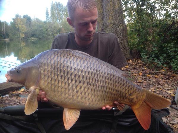 LanceLongman's tweet photo. Immaculate 28.7lb stocky common, does it get any better #commoncarp #carpfishing #korda #widegape http://t.co/KYps0DUdUg