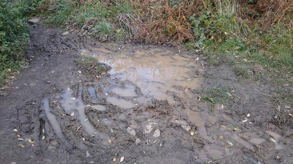 muddyrunevent tweet picture