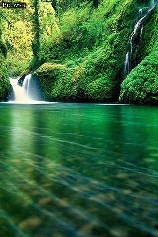 #Disfruta tú también de la #naturaleza que nos ofrece nuestro #planeta!