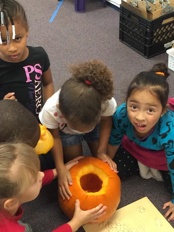 Pumpkin seed estimation in Kindergarten <a href="/BuncombeSchools/">Buncombe Schools</a>