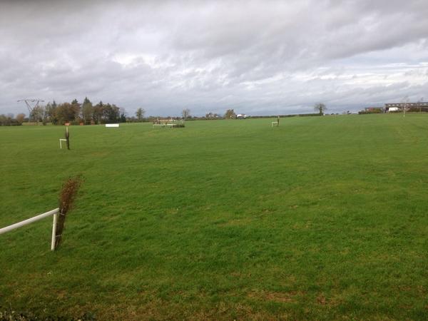 Point to point at Tattersalls #tattersallsireland #pointtopoint #sarahennis #stellorsporthorses