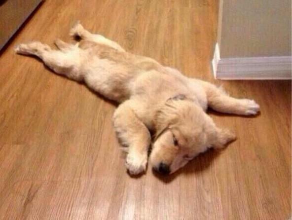 SweetGeek86's tweet photo. Domingo... Descripción gráfica http://t.co/3Yvbb6yjpm