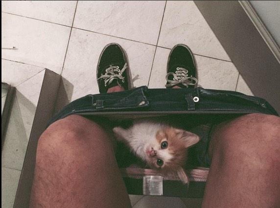 jcschubbycheeks's tweet photo. If I was Jc's pet I'd also do that 😂😍😏 http://t.co/bphcmuqWPG
