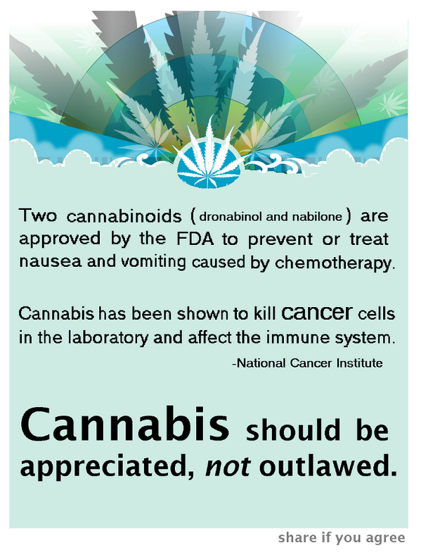 DOOBONS's tweet photo. Join us for a day of appreciation and education!  http://t.co/cwCas7VfMB #mmj #weed #cannabis #cancer #marijuana http://t.co/3czCfYFxoM