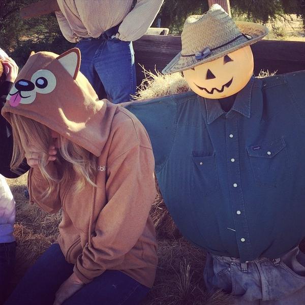 BeHuggable's tweet photo. Huggables x Pumpkin Patch 🎃 #behuggable http://t.co/ACVGa0P9ee