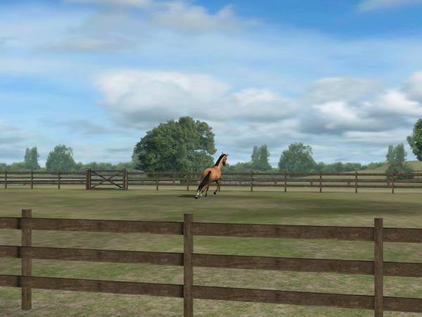 kacysome's tweet photo. Check out my photo! Add me, LovelyCaulk613. #MyHorse bhcbcbchcbgjvhcjvjvjv http://t.co/mS7qNBj0uo http://t.co/xSzJ5fWa69