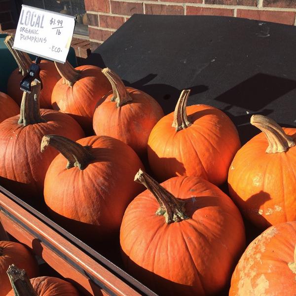 swamprabbitcafe's tweet image. We've got local AND organic pumpkins - come check us out! #localpumpkins #organic #swampyhalloween