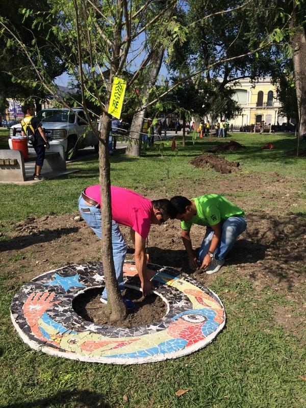 Monterrey Creativa tweet media