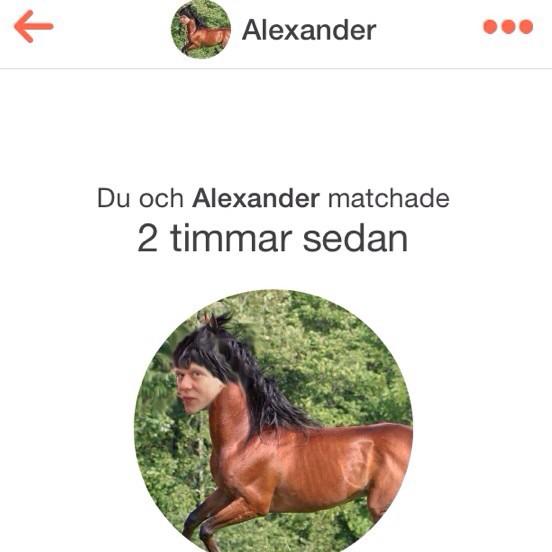 antonia1337's tweet image. Senaste tinder matchningen #stronggame 😂😂😔