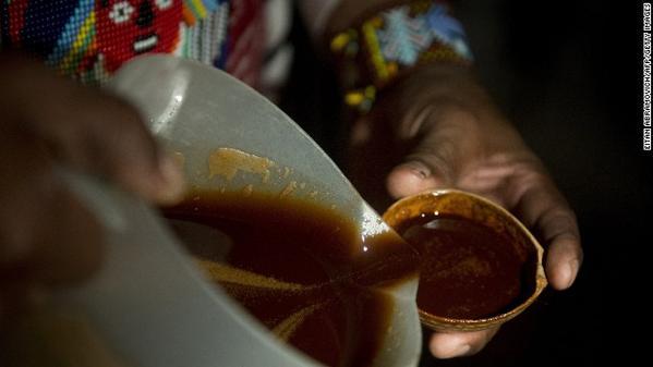 diyhacks's tweet image. Could #ayahuasca be the next medical marijuana? #thisislife #recentfacts