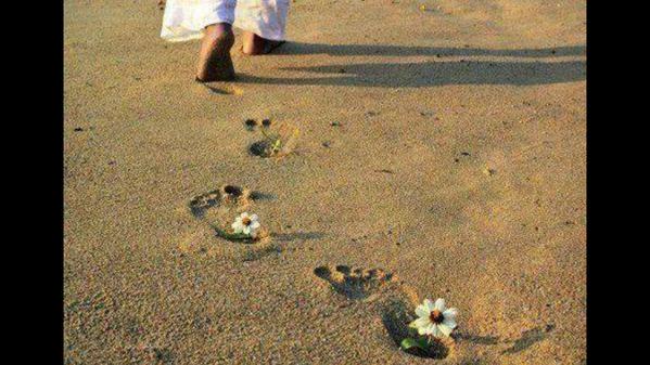 Ahmed Khalid (@74ahmadkhalid) on Twitter photo 