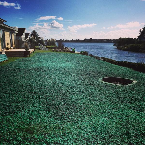 WAHydroseeding's tweet photo. Improve your waterfront view with Chinook Hydroseeding! http://t.co/90YIMTXRzw