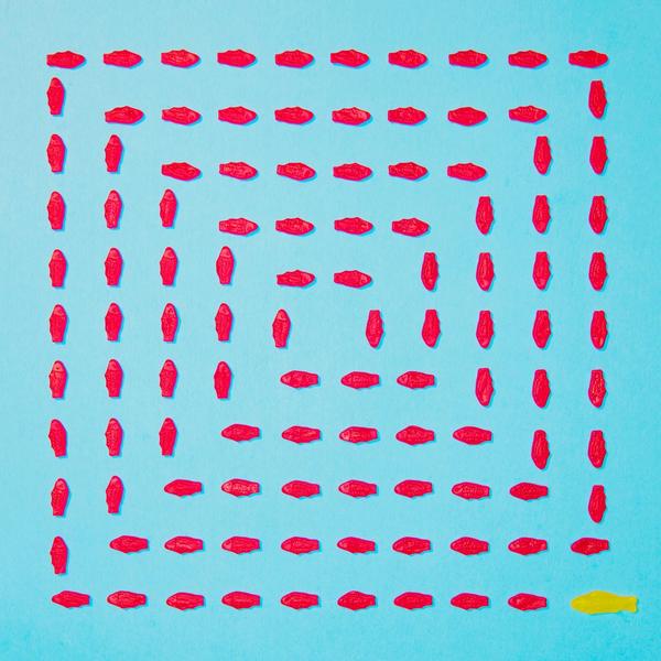 crump's tweet photo. As requested, I made a Swedish Fish #candygrid. http://t.co/myCXhUaTMO